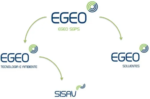 Figura 2: Enquadramento da EGEO Solventes S.A. no Grupo EGEO 
