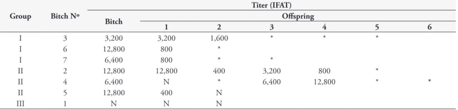 Table 2. Titers of anti-N. caninum antibodies in dogs infected in the 3 rd  week (GI) and 6 th  week (GII) of gestation and in the non-infected  control (GIII) and their respective offspring according to IFAT (≥50) on day 35 postpartum.