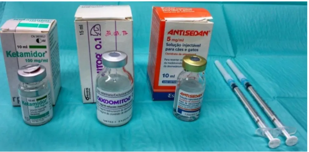 Figure 6 - Drugs utilized for intraperitoneal anesthesia (Ketamidor® and Dexdomitor®) and reversal of anesthesia  (Antisedan®) in the Rattus norvegicus rats