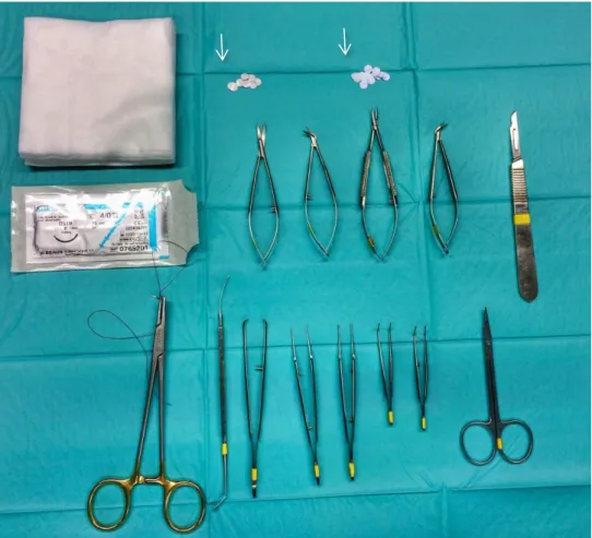 Figure  8  –  Surgical  instruments  utilized  in  the  implantation  procedure  (lint,  scissor,  scalpel,  needle  holder,  tweezers, and suture thread) and the implant disks (white arrows)