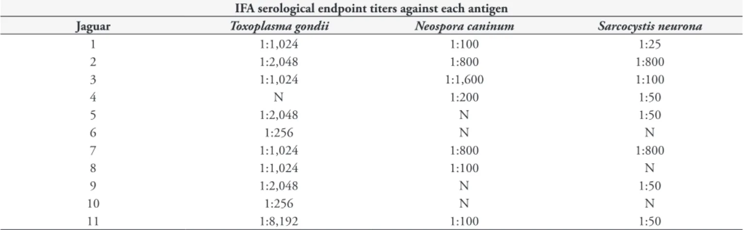 Table 1. Results of serological assay performed on blood sera of free-living jaguars (Panthera onca) from the Pantanal region of Mato Grosso,  Brazil.
