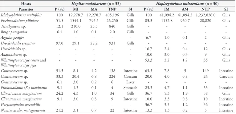 Table 1. Site of infection (SI), prevalence (P), mean intensity (MI), mean abundance (MA) and total number of parasites (TNP) in two  Erythrinidae fish from Amazonas river system (Brazil).