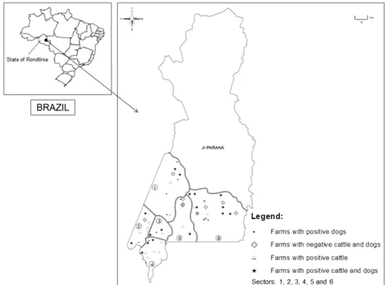 Figure 1. Distribution of family farms, taking into consideration six strata of milk production (rural sectors), in accordance with data from  the Technical Assistance and Rural Extension Association of the State of Rondônia (EMATER-RO), Ji-Paraná, Rondôni