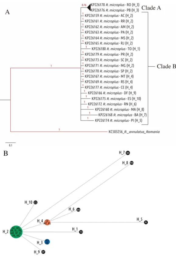 Figure 2. (A) Bayesian phylogenetic tree recovered for cytochrome oxidase subunit 1 gene (COX-I) of 643 nucleotides
