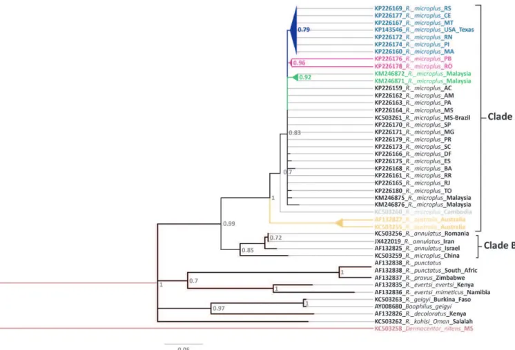 Figure 3. Bayesian phylogenetic tree recovered for cytochrome oxidase subunit 1 gene (COX-I) of 643 nucleotides, for Rhipicephalus taxa  samples