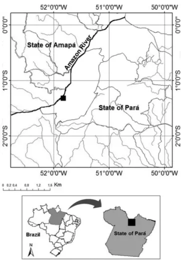 Figure 1. Collection locality of Piaractus brachypomus in the lower  Amazon River, Northern Brazil.