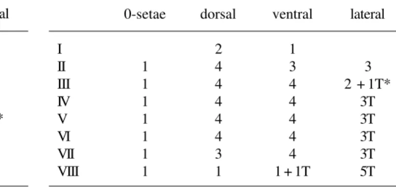 Table I.  Pupal abdominal setation of  Caladomyia ortoni (the numbers refers to pairs of setae).