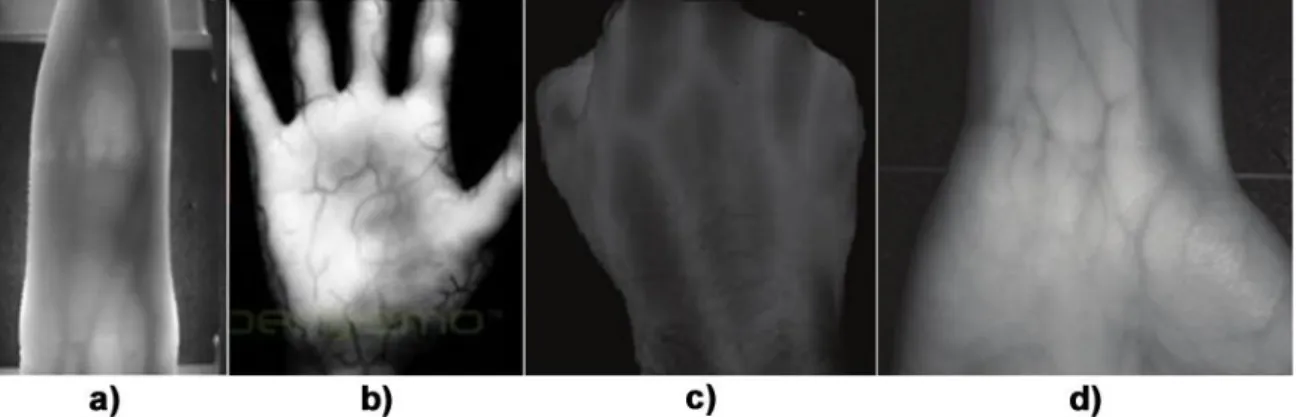 Figura 2-22: Veias: a) do dedo; b) da palma; c) do punho; d) do pulso   [Fujitsu, 2009] 