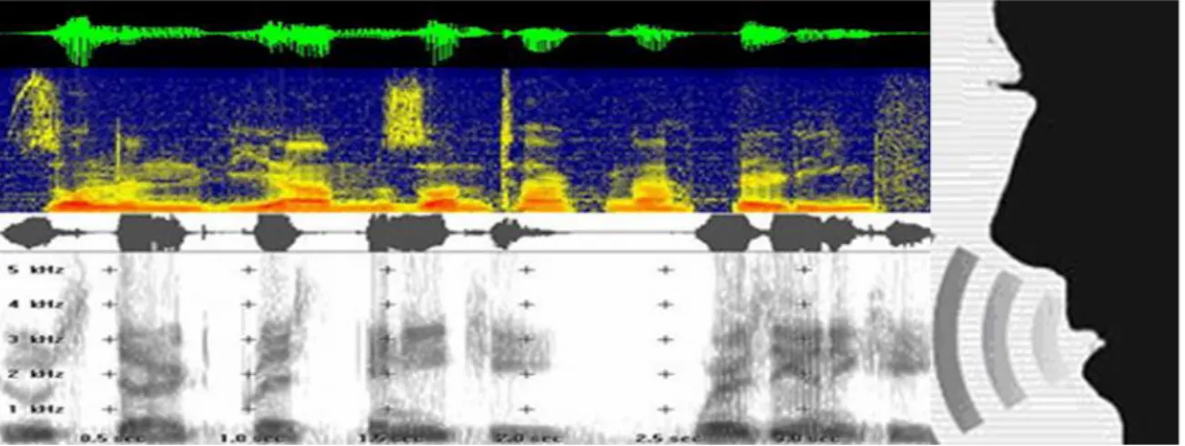 Figura 2-23: Espectrograma de timbre de voz. 