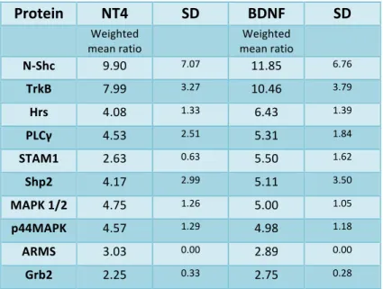 Table   1:   Summary   of   proteins   recruited   by   BDNF   and   NT4       