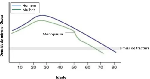 Figura  2:  Variação  da  densidade  mineral  óssea  ao  longo  da  idade  em  humanos  (adaptado  de: