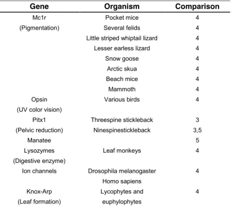 Table  1.1.B.  Examples  in  which  similar  phenotype  evolved  within  a  species  by  similar  genetic  changes