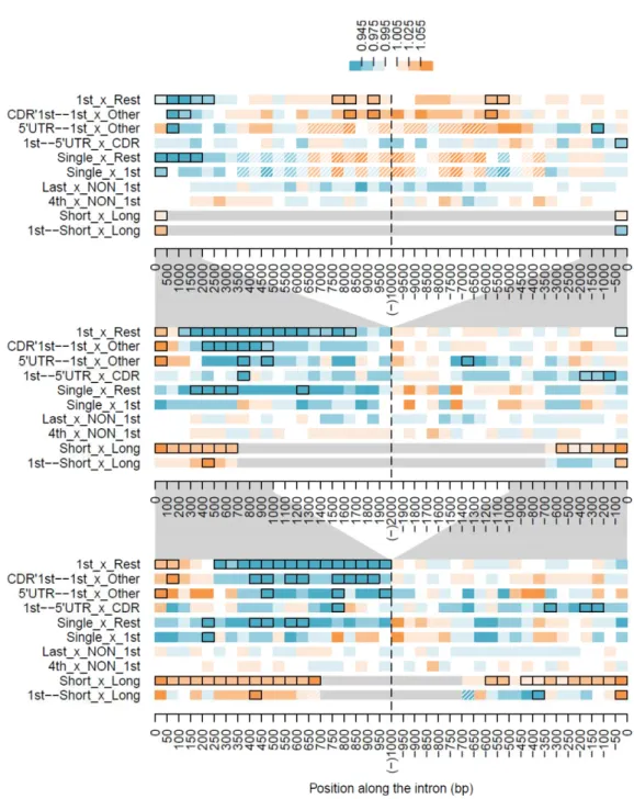 Figure 6 Differences in the number of substitutions in equivalent windows of distinct classes of introns