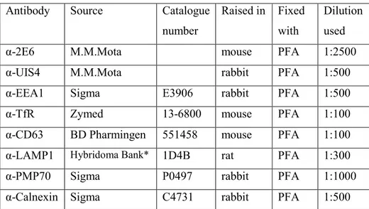 Table  1  -  Antibodies  used  in  Chapter  2.  *Developmental  Studies  Hybridoma  Bank,  University of Iowa