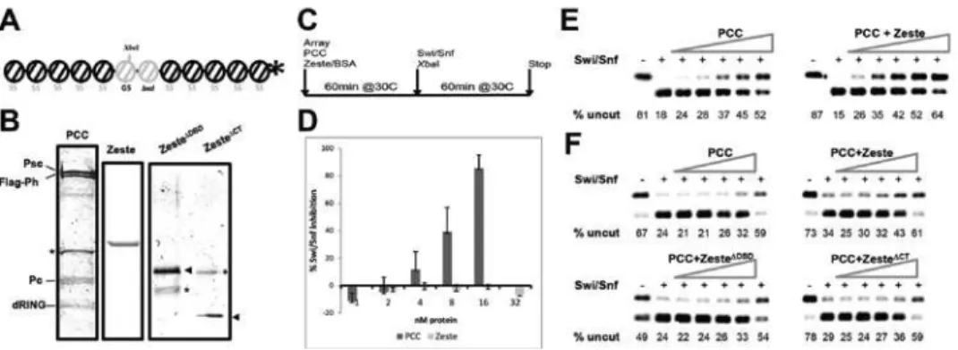Figure 2.2:  Zeste increases the efficiency of PCC-mediated inhibition of Swi/Snf  remodeling