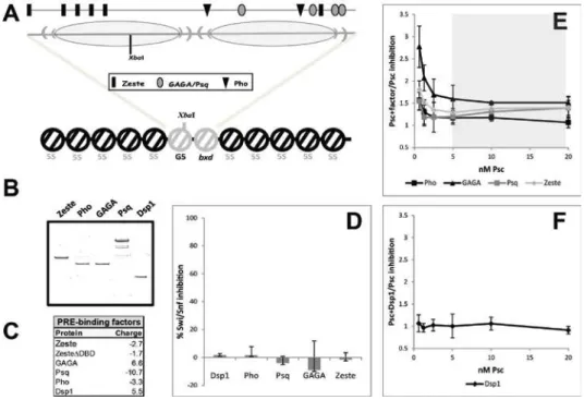 Figure  2.4:  Influence of various PRE-binding proteins on the activity of PSC.  A. 