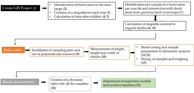 Figure 3.2 - Graphic summary of the methodological steps followed in the study. 