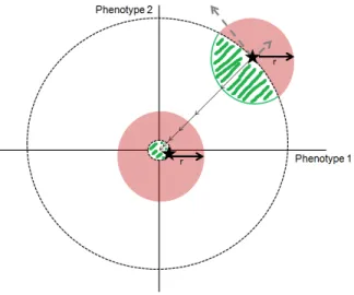 Figure  1.3:  Fisher’s  geometric  model  of  adaptation.   The  two  black  stars  represent  populations at different distances from the highest fitness phenotypic combination (the origin of  the  graph)