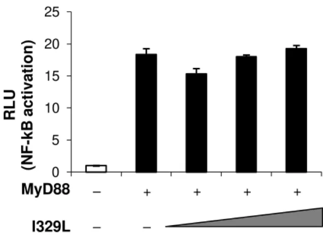 Figure 2.1 - ASFV I329L inhibition of Poly (I:C)-mediated IRF3 and NF-kB  activation is MyD88 independent 