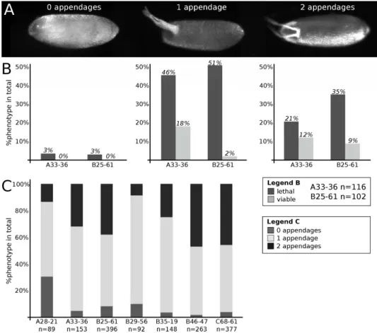 Figure 3.1: The troya mutant eggshell phenotype. Di ff erent degrees of ven- ven-tralization are observed in eggs from troya mutant ovaries