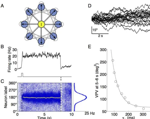 Figure 2.1. Persistent activity and random drifts of a memory trace in a spiking network model for spatial working memory