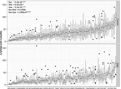 Figure 3.1  –  Crystal cell counts in DGRP lines.    Box-and-Whisker plots of  crystal  cell  counts  in  the  dorsal  hemocyte  cluster  of  the  A7  abominal  segment