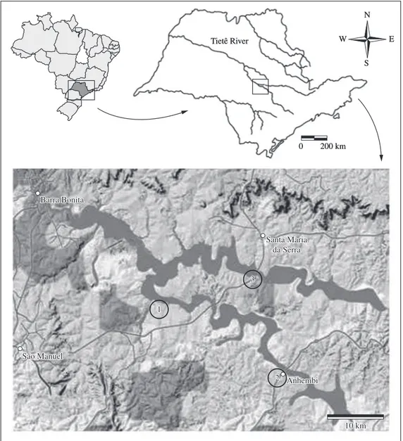 Figure 1. Location of Barra Bonita Reservoir with sampling sites: 1) Rio Bonito, 2) Anhembi and 3) Santa Maria da Serra  (modified from Google Earth).