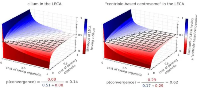 Figure 2.10: Ancestrality vs. convergent evolution of cilia and centriole-based centrosomes