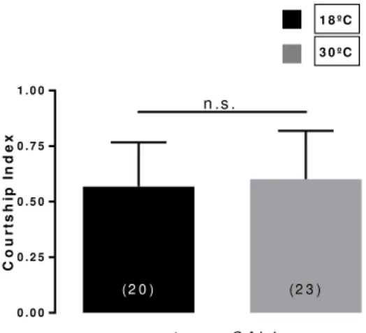 Figure  2.6  Female  capability  of  triggering  male  courtship  behavior  is  unchanged by silencing apterous neurons 