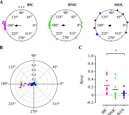 Figure  2.6  |  Orientation  and  directional  focus.  (A)  Circular  plots  of  the  focal  fishes’  individual  mean  resultant  vectors’  angles  α  for  each  treatment   (BIC  —  magenta  triangles,  BNIC  —  lime  triangles,  ISOL  —  blue  triangles