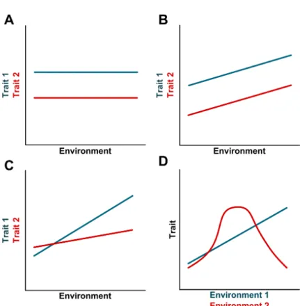 Figure 1.1: The relantionship between phenotype and the environment.
