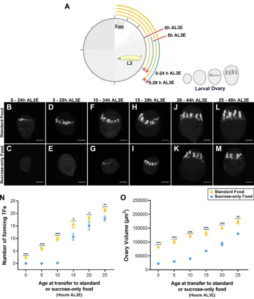 Figure 2.4: Distinct stage-specific developmental processes during ovary development are regulated by nutrition.((A) Experimental design to examine how developmental processes respond to changes in nutrition during L3 larval stages