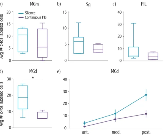 Figure  4  –  Increased  number  of  c-fos   labeled  cells  in  the  MGd  of  rats  exposed  to  the  playback  of  the  movement-evoked  sound  with  Silence  inserts  a) Box plot shows average number of  c-fos  labeled cells in the MGm of rats  exposed 