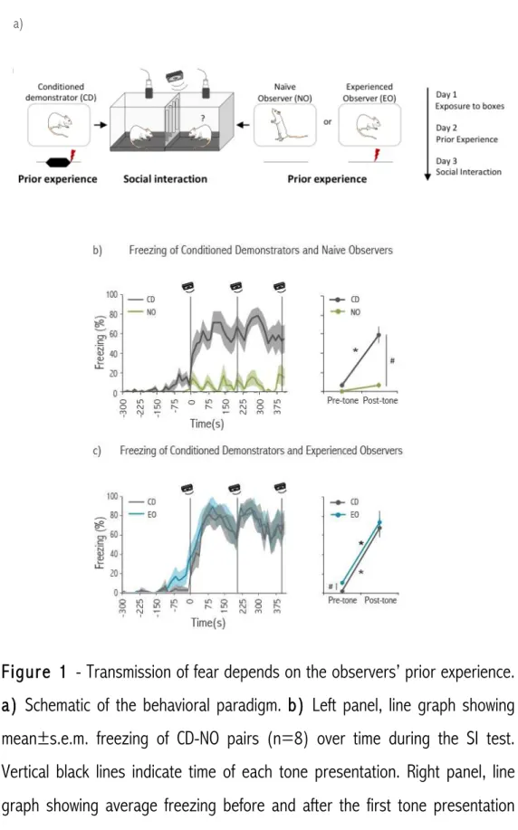 Figure  1  - Transmission of fear depends on the observers’ prior experience. 