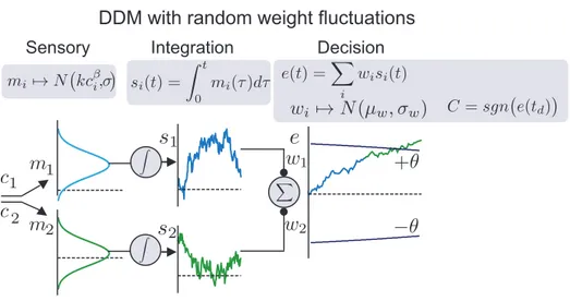 Figure 3.8. DDM with random trial-by-trial weight fluctuations. DDM (Figure 3.2) is expanded to include random weight fluctuation for stimulus weights w i on a trial-by-trial basis