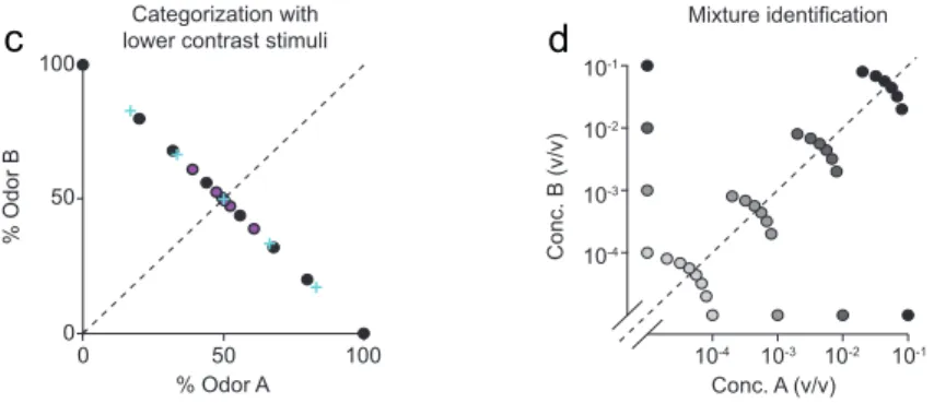 Figure 2.1 | Stimulus design for the different behavioral tasks 