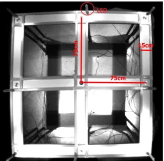 Figure 1 Top view of the  maze. The maze was an elevated grid structure with nine   water ports  embedded on the floor, with no walls