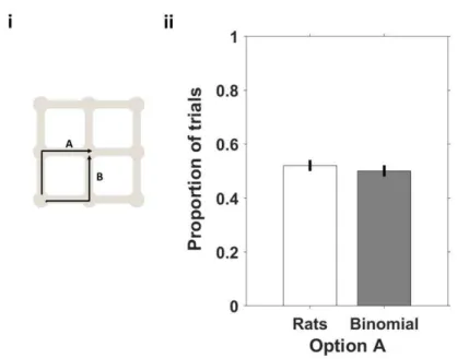 Figure  11  There  is  no  bias  towards  one  of  the  options,  in  a  two  option  condition