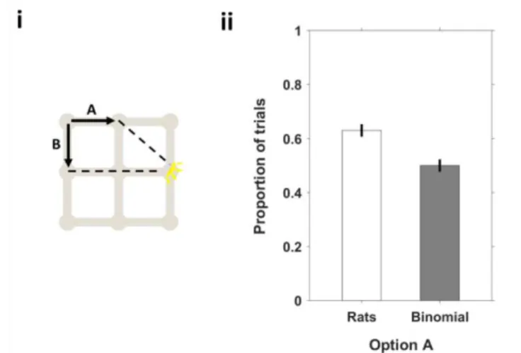 Figure  24  Rats  prefer  paths  that  minimize  distance  to  goal  faster. (a) Schematic drawing of an  example start-goal pair where, after first segment of path, a type A path would take the rat closer to  the light position in terms of Euclidean dista