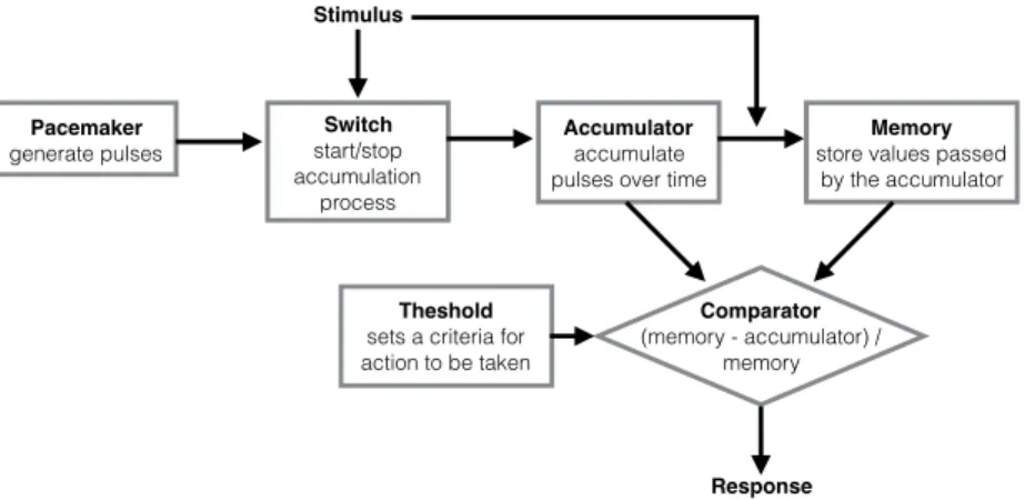 Figure  1.1  |  Schematics  of  the  scalar  expectancy  theory  model.  Components  of  the  information processing model for time: pacemaker, accumulator, reference memory, switch and  comparator