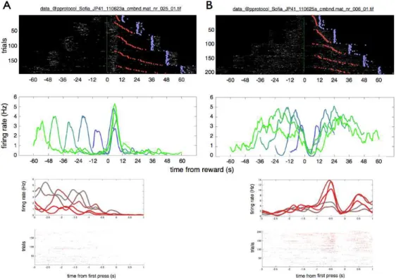 Figure S2.2 | Examples of single neurons recorded from the striatum during performance  of the SFI task reflect neurons with different time courses of response that rescale with FI