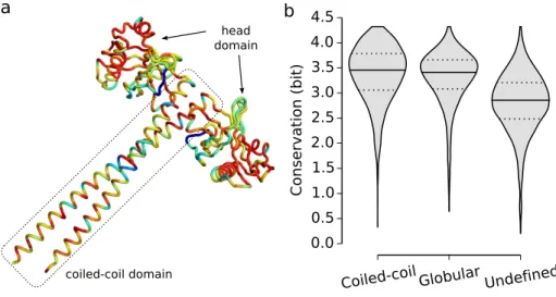 Fig. 2.1. Sequence conservation of protein regions. (a) Sequence conservation superim- superim-posed on the structure of SAS-6 homolog protein from Chlamydomonas  rein-hardtii (Protein Data Bank: 3Q0X, Kitagawa et al