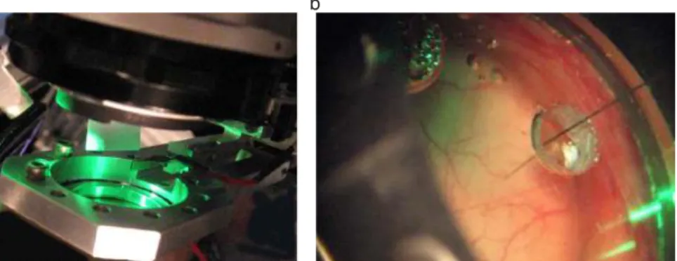 Figure  1.1  –   The  experimental  setup.  (a)  Picture  of  the  setup  illustrating: 