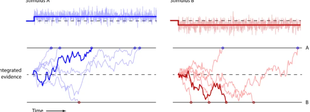 Figure 1.1: Drift diffusion model. Adapted from Uchida et al. (2006). Top, schematic of two example input signals (saturated blue/red line) and signal with added gaussian noise (stimulus; faded ragged blue/red trace)