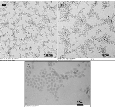 Figure 5 | Transmission Electron Microscopy Analysis. TEM (a, b) and HRTEM (c)  images of CdSe/ZnS QDs synthesized and passivated with 5 monolayers of ZnS shell