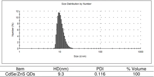 Figure 6 | Size determination by dynamic light scattering. Hydrodinamic diameter  (histogram  size/number)  and  polydispersity  index  obtained  for  synthetic  CdSe/ZnS  QDs