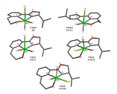 Figure 3.6. Modelled isomers for complex 1 (DFT). In brackets, relative energies in kcal/mol