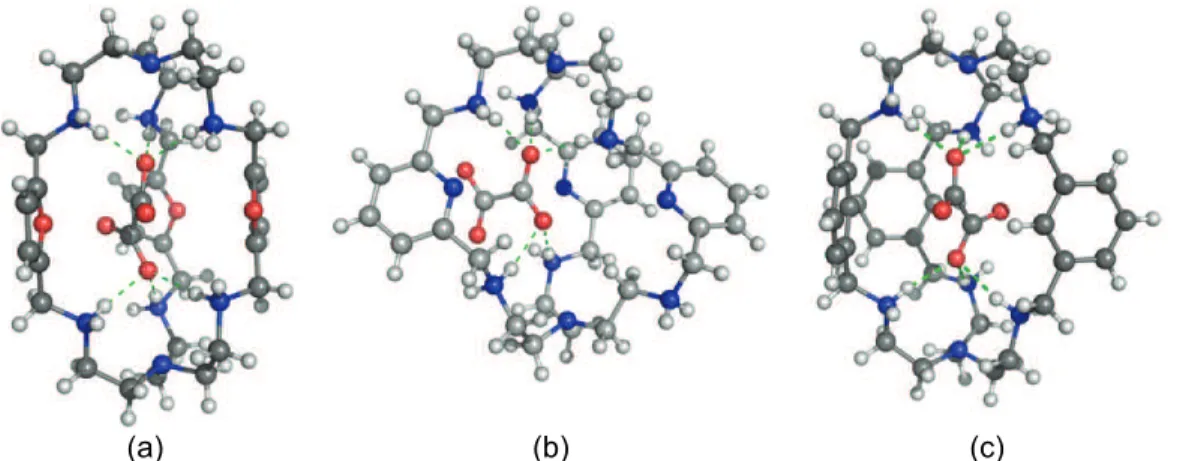 Figure 1.12 Crystal structures of supermolecules formed between H 6 10 6+  (a), H 6 11 6+  (b)  and H 6 12 n+  (c) and the oxalate anion