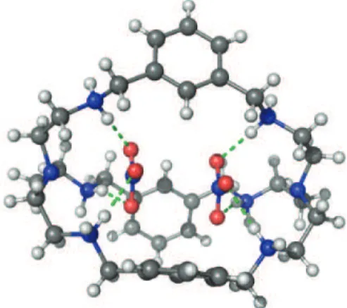 Figure 1.13 Crystal structure of the supermolecule formed by H 6 12 6+  with nitrate. 