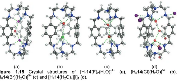 Figure 1.15 Crystal structures of [H 6 14(F) 2 (H 2 O)] 4+  (a), [H 6 14(Cl)(H 2 O)] 5+  (b),  [H 6 14(Br)(H 2 O)] 5+  (c) and [H 4 14(H 2 O) 4 ][I] 4  (d)